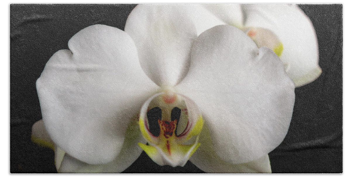 Orchid Beach Towel featuring the photograph The Face of an Orchid by Vicky Edgerly