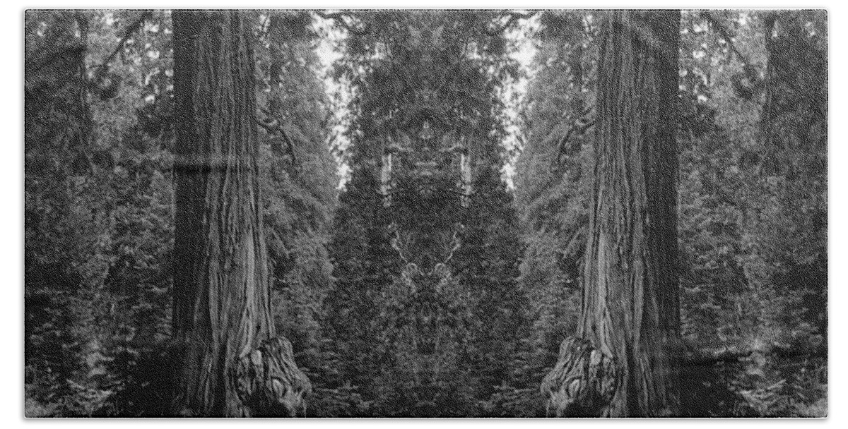 Nature Art Beach Towel featuring the photograph The Forest of the Universe #1 by Ben Upham III
