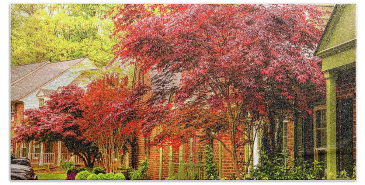 Maple Beach Towel featuring the photograph Japanese Maples in Springtime by Ola Allen