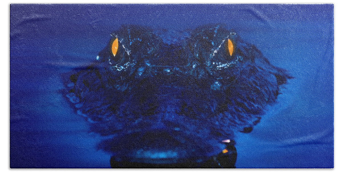 Alligator Beach Towel featuring the photograph The Littlest Predator by Mark Andrew Thomas