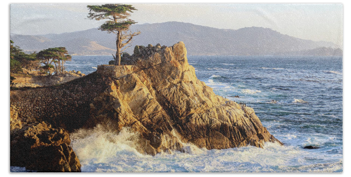 Ngc Beach Towel featuring the photograph The Lone Cypress by Robert Carter