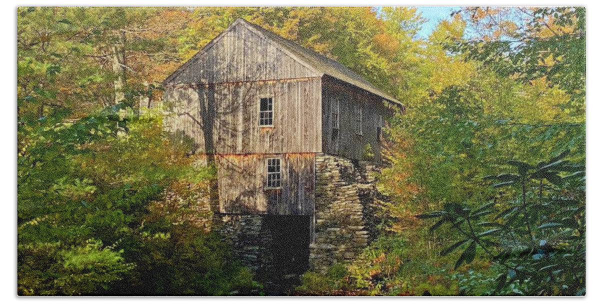  Old Beach Towel featuring the photograph The old sawmill at Moore State Park by Monika Salvan