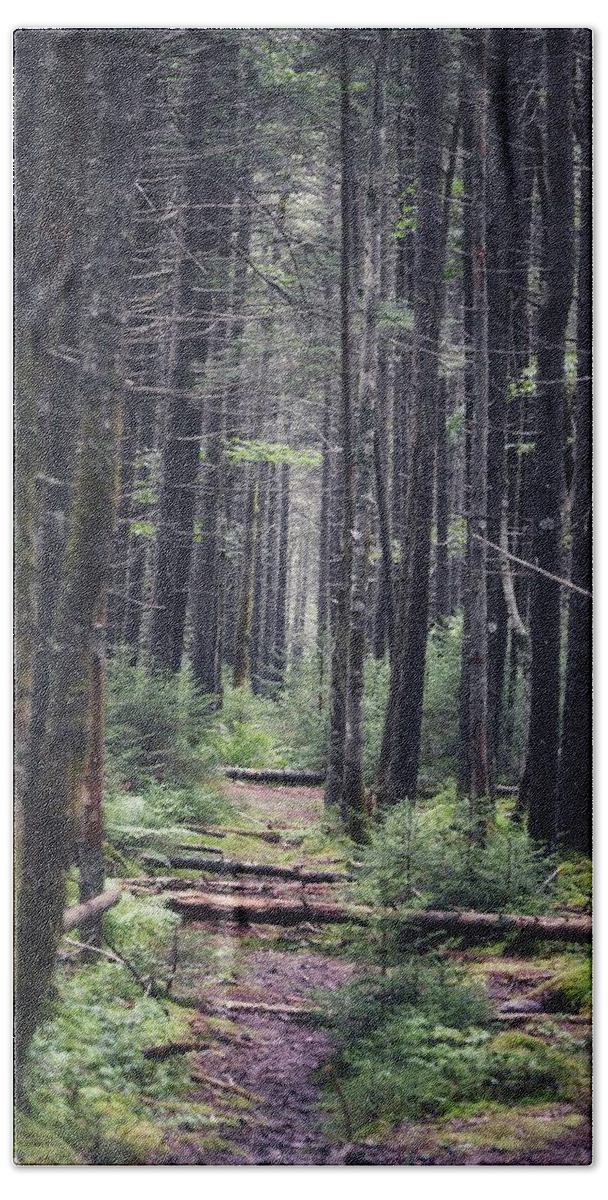 Hiking Beach Towel featuring the photograph The Path Ahead by Evan Foster