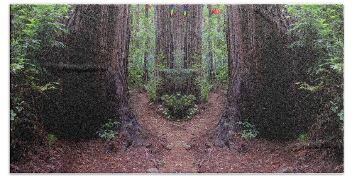 Nature Art Beach Towel featuring the photograph The Redwood Forest of Dreams by Ben Upham III