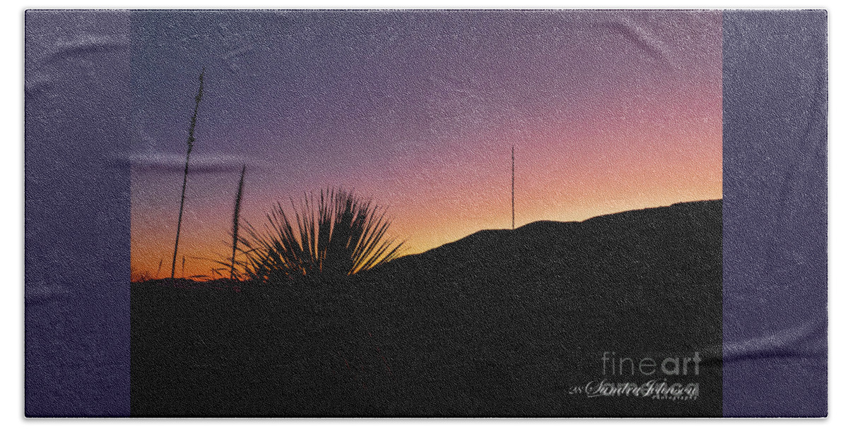 Cactus Beach Towel featuring the photograph The Silhouette of a Cactus at Sunset by Sandra J's