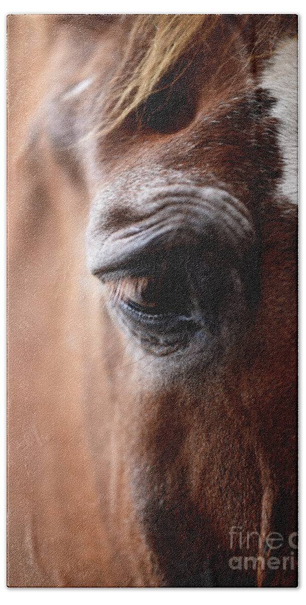 Rosemary Farm Beach Towel featuring the photograph The Soul of an Old Horse by Carien Schippers