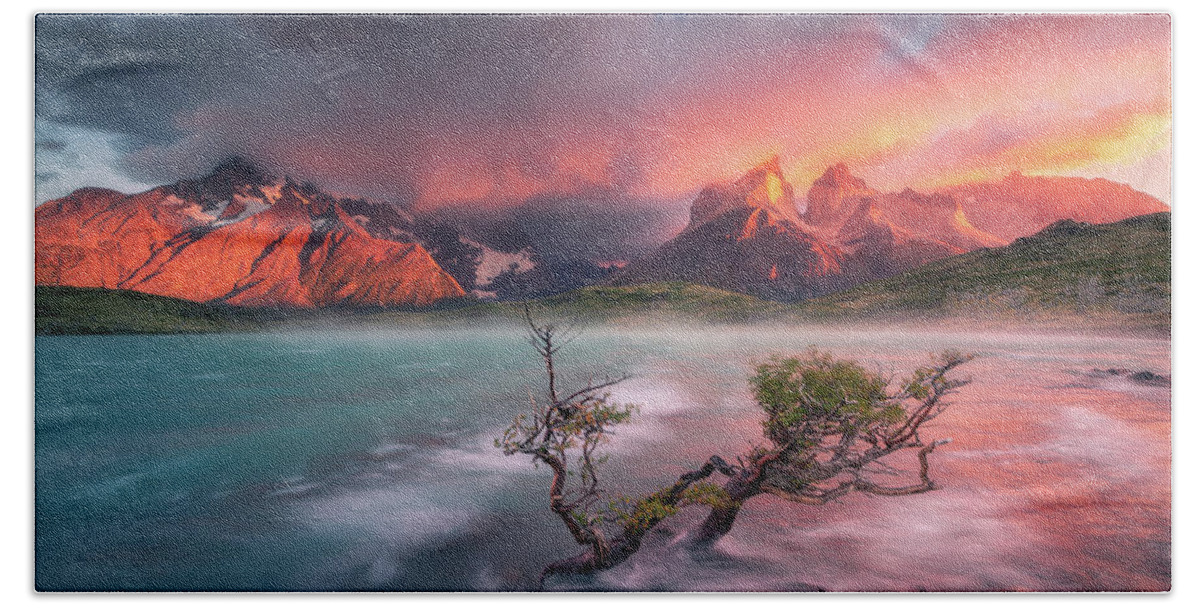 Patagonia Beach Towel featuring the photograph The Twin Trees #2 by Henry w Liu