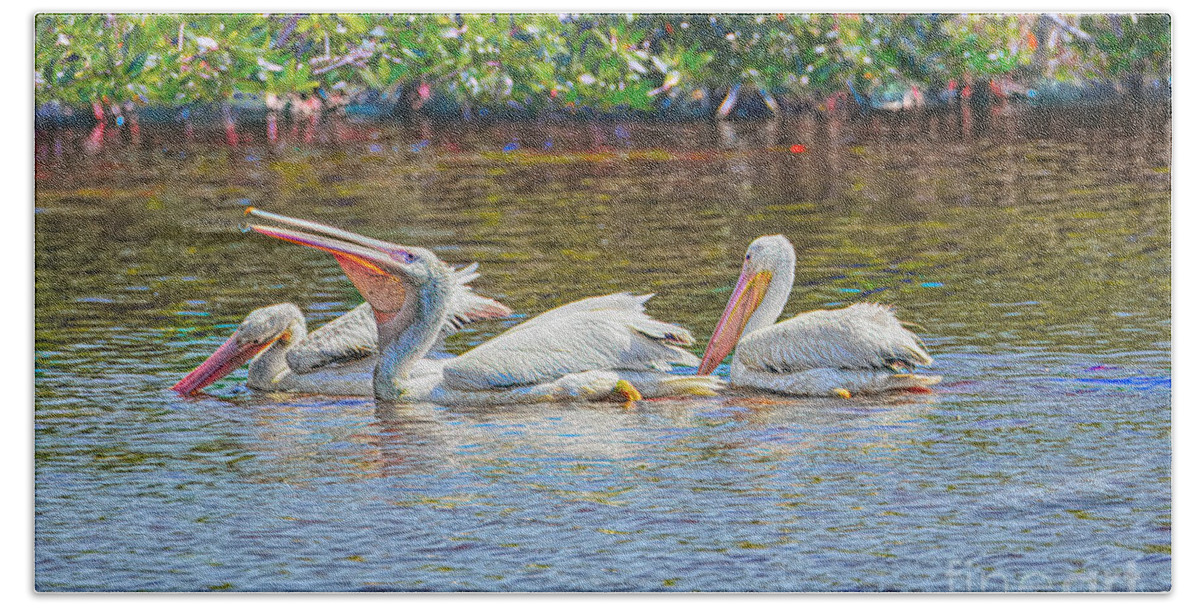 Pelicans Beach Towel featuring the photograph The White Pelican by Judy Kay