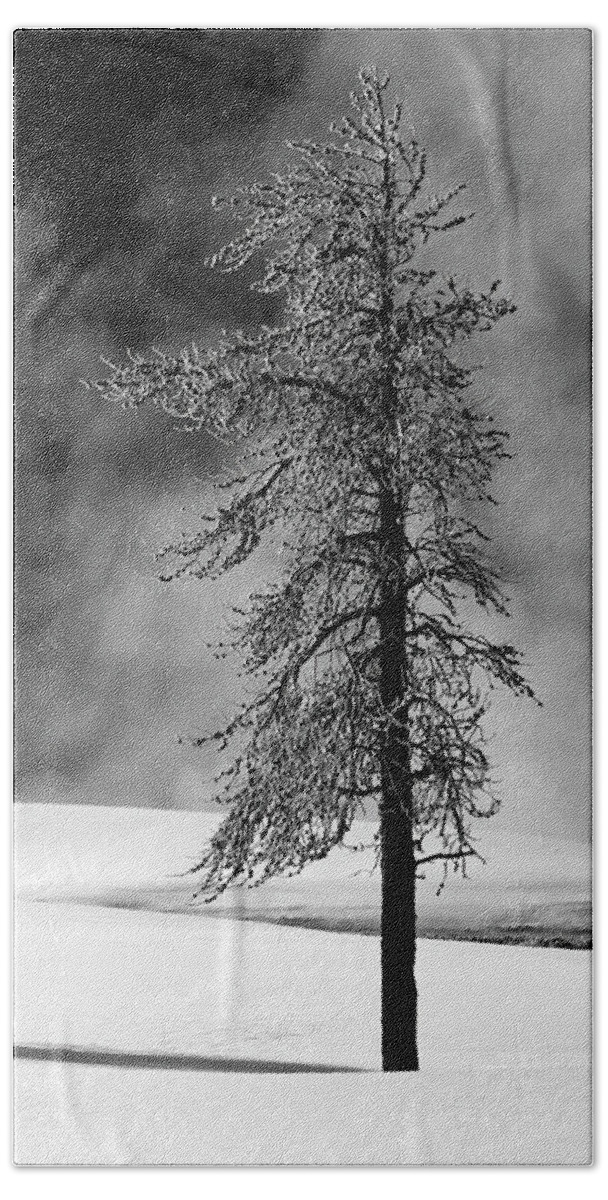 Tall Tree Beach Towel featuring the photograph Thermal Ice by Art Cole