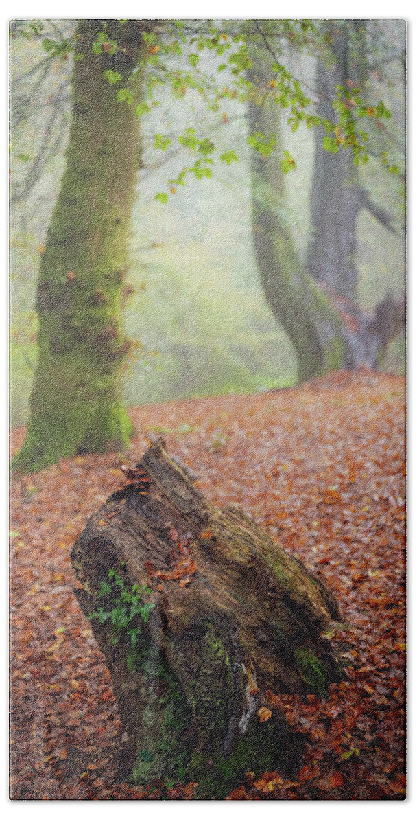 Autumn Beach Towel featuring the photograph This Autumn goes all the way to 11 by Gavin Lewis