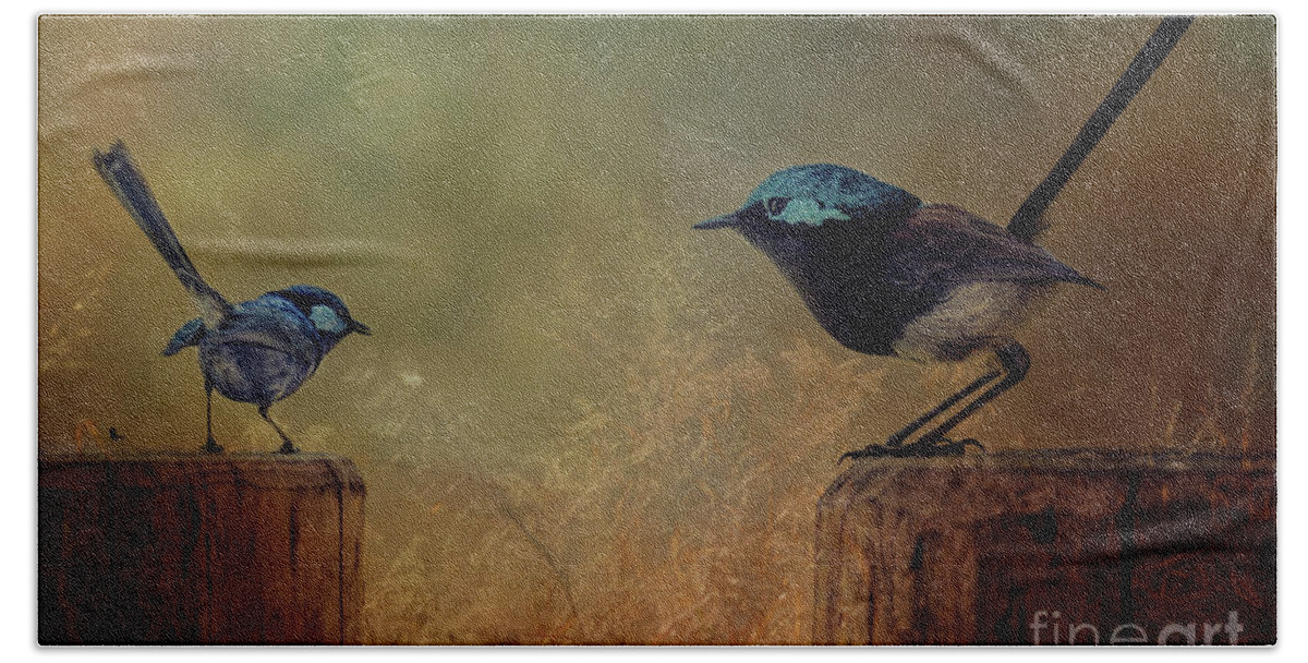 Blue Wrens Beach Towel featuring the photograph This is my Perch by Elaine Teague