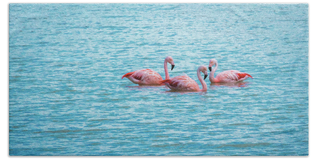 Flamingo Beach Towel featuring the photograph Three flamingos on the Laguna Amarga by Lyl Dil Creations