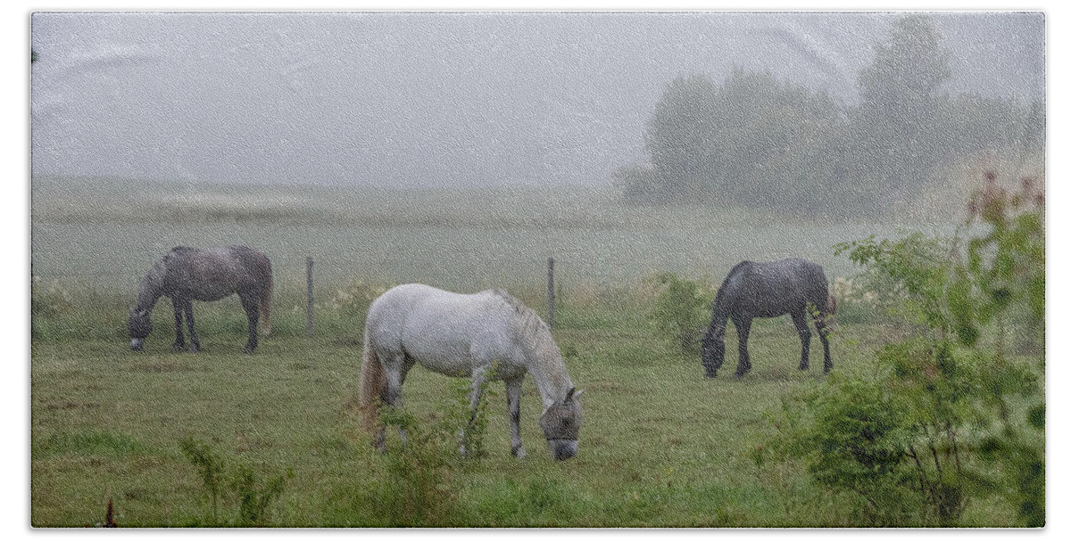 Three Horses Beach Towel featuring the photograph Three horses in a pasture a foggy morning by Torbjorn Swenelius