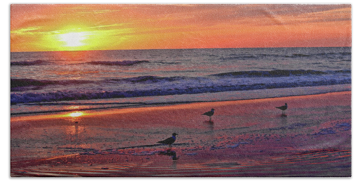 Seascape Beach Towel featuring the photograph Three Seagulls On A Sunset Beach by HH Photography of Florida
