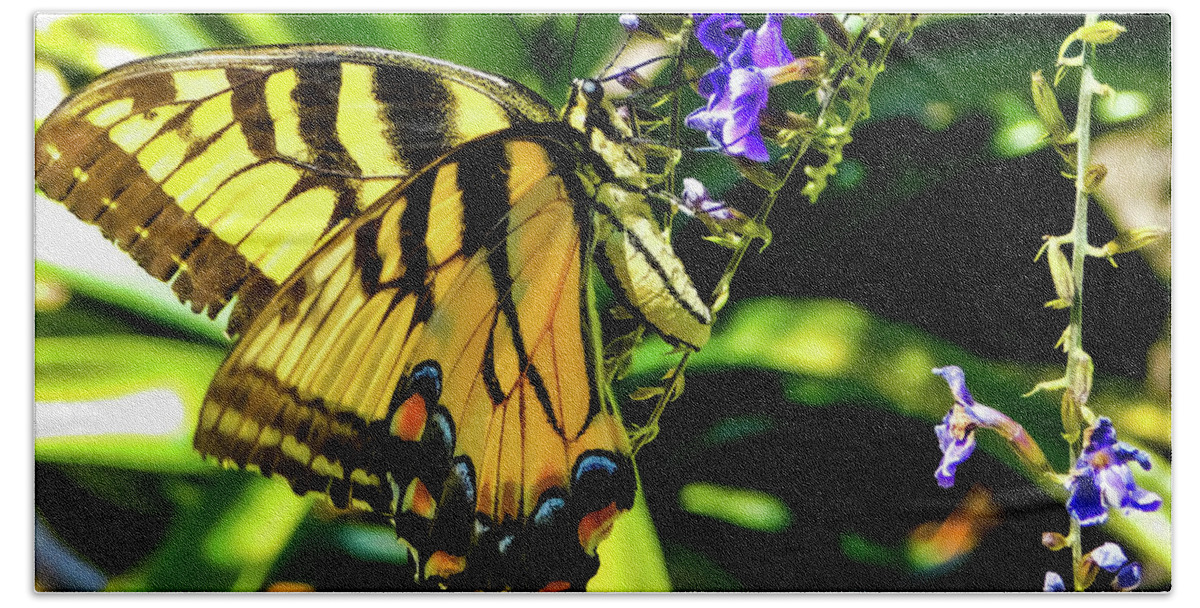 Landscape Beach Towel featuring the photograph Tiger Swallowtail by Gena Herro