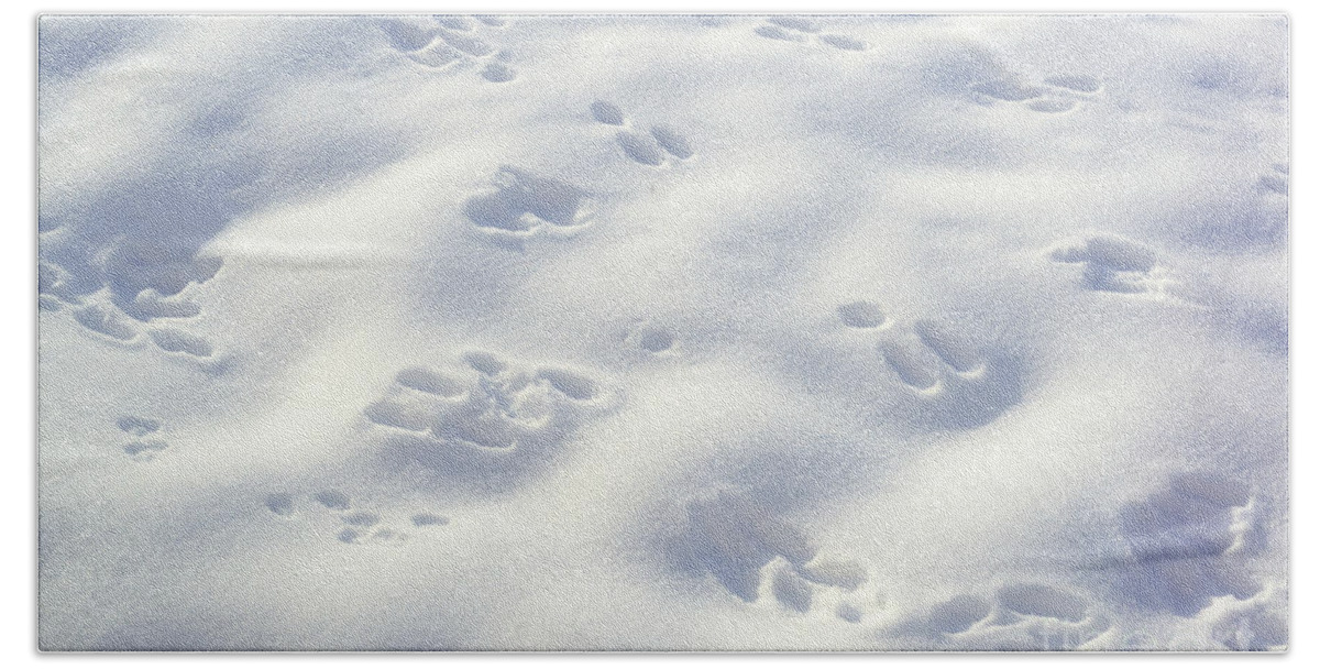 Snow Beach Towel featuring the photograph Tracks and Shadows by Kae Cheatham