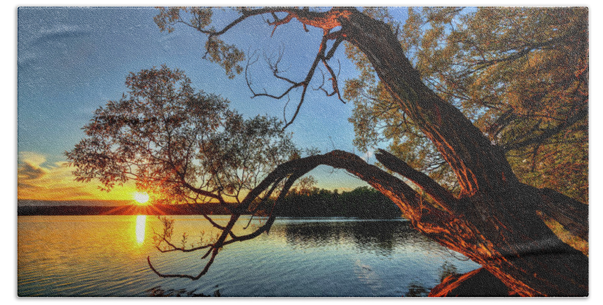 Maine Beach Towel featuring the photograph Tree at Sunset a0110 by Greg Hartford