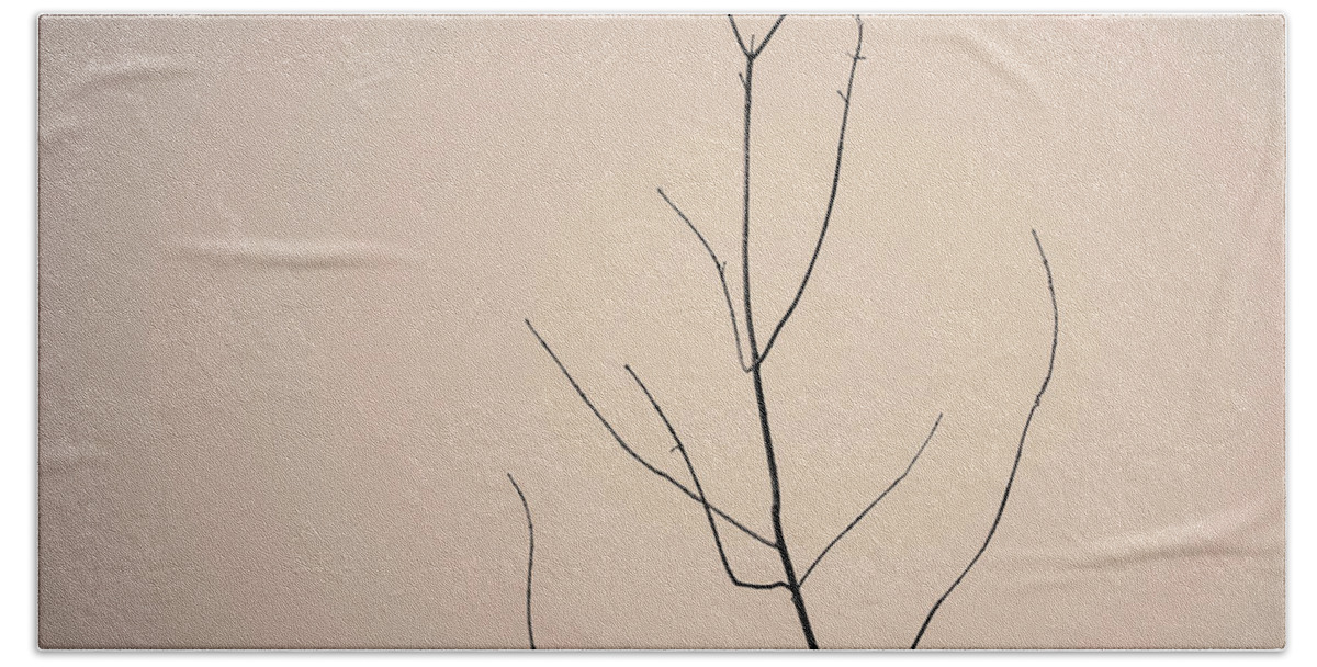Abstract Beach Towel featuring the photograph Tree Branches IV Toned by David Gordon