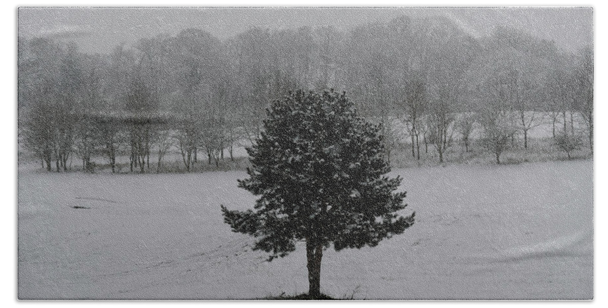 Herts Beach Towel featuring the photograph Tree in the snow by Andrew Lalchan