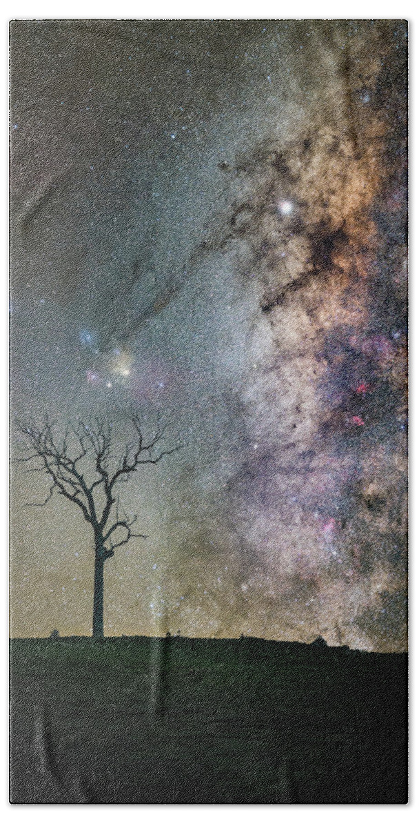 Milky Way Beach Towel featuring the photograph Tree of Life by Ari Rex