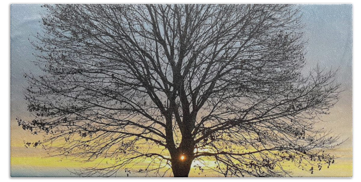  Beach Towel featuring the photograph Tree of Life by John Gisis
