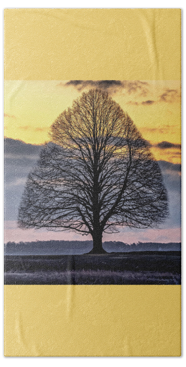 Tree. Sunrise Beach Towel featuring the photograph Tree of Shadows by William Bretton