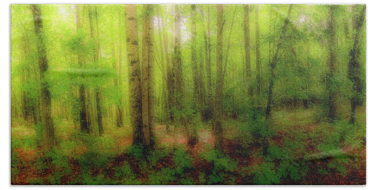 Mountains Beach Towel featuring the photograph Tree Trunks in the Forest fx 920 by Dan Carmichael