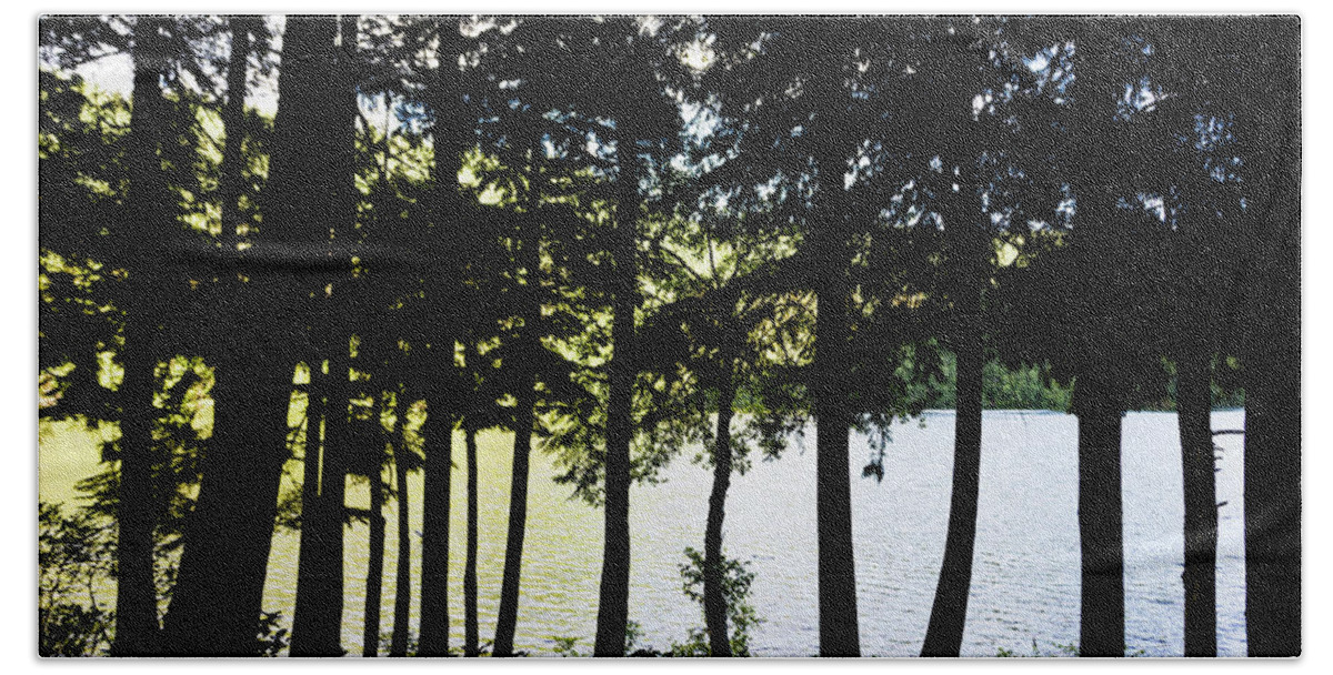 Dv8.ca Beach Towel featuring the photograph Trees at Alice Lake by Jim Whitley