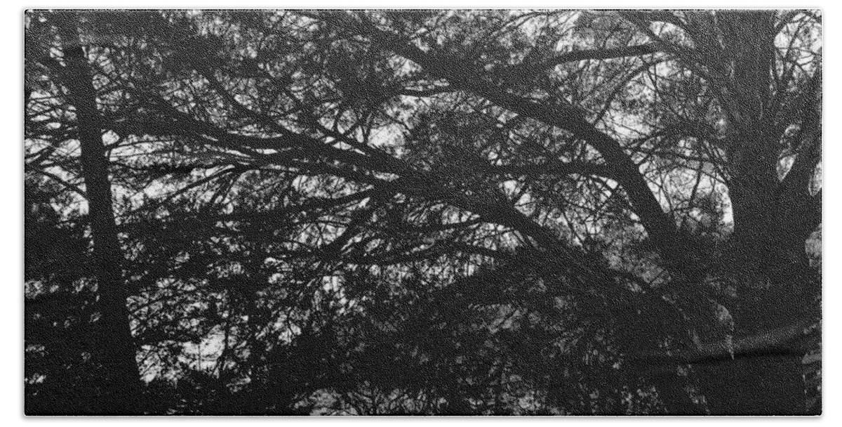 Georgia Beach Towel featuring the photograph Trees, Hammock, Marshes of Glynn by John Simmons
