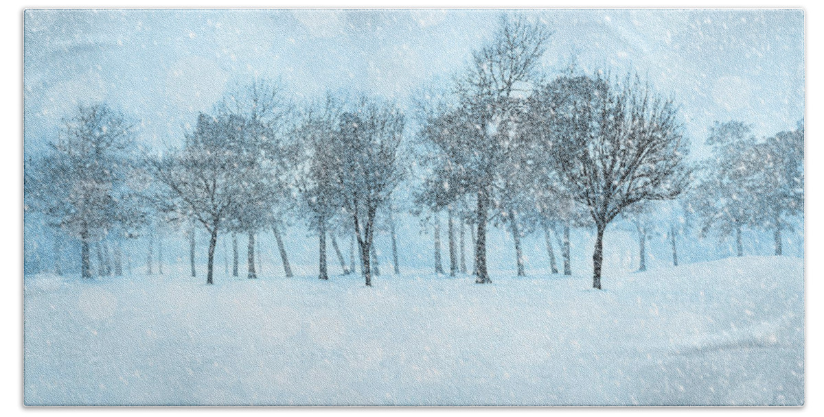 Winter Beach Towel featuring the photograph Trees In Winter by Cathy Kovarik