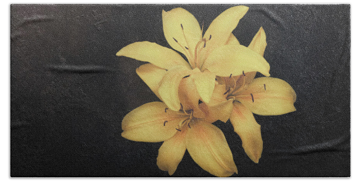 Flower Beach Towel featuring the photograph Trio of Lilies by Scott Norris