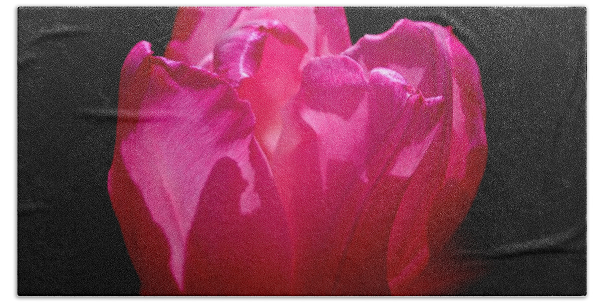 Whispers Of The Heart! Beach Towel featuring the photograph Tulip beauty by Bess Carter