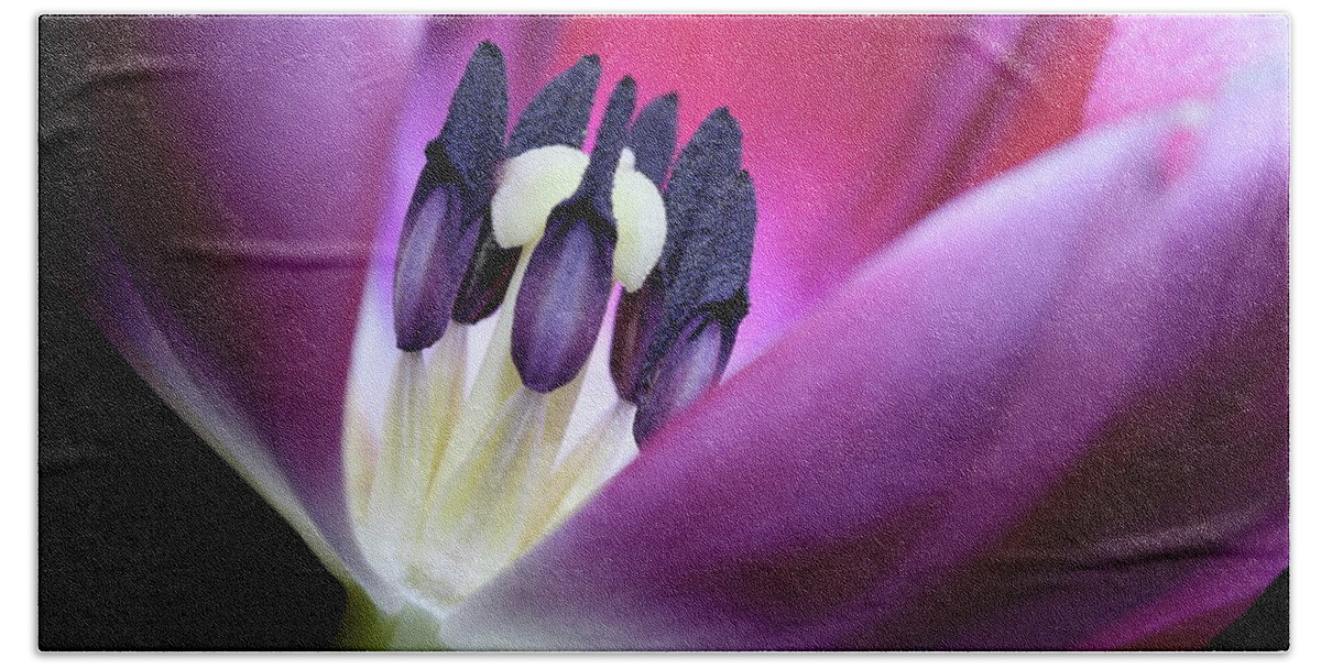 Macro Beach Towel featuring the photograph Tulip Pink 3917 by Julie Powell