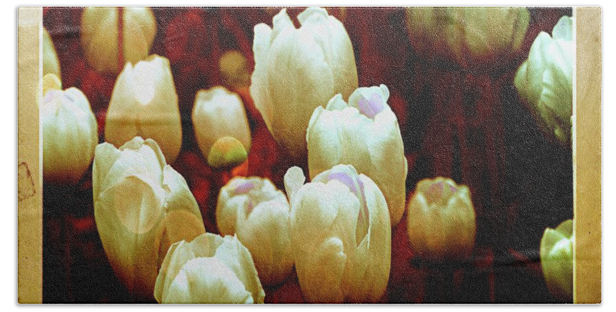 Tulips Beach Towel featuring the photograph Tulips Garden Hibster by Michelle Liebenberg