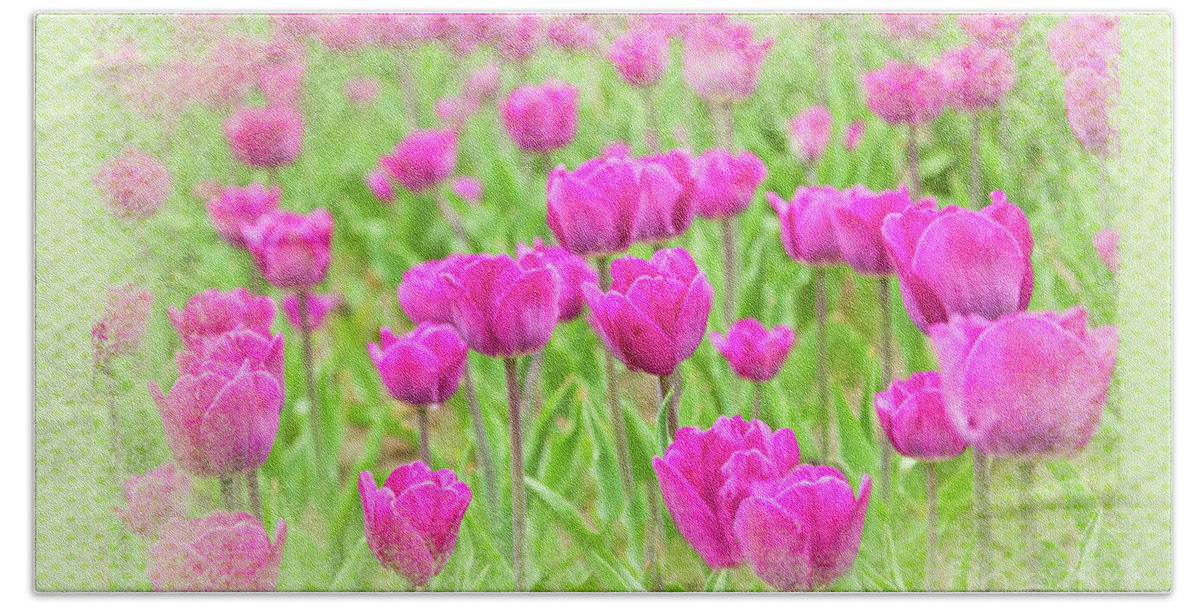 Flowers Beach Towel featuring the photograph Tulips Laughing by Marilyn Cornwell