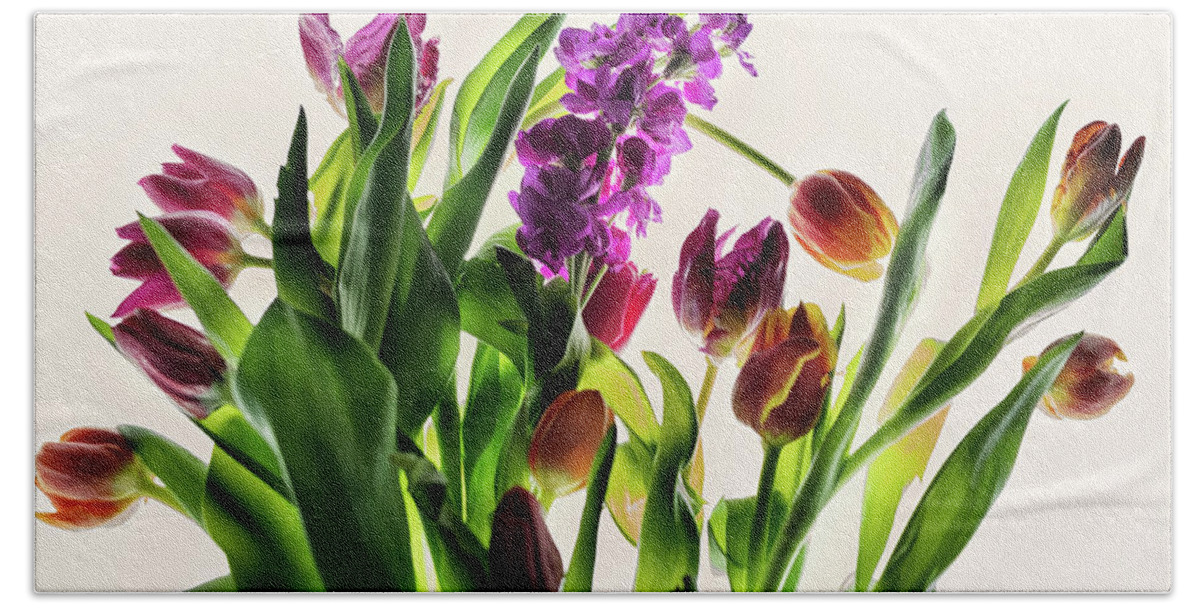 Abloom Beach Towel featuring the photograph Tulips by William Fields