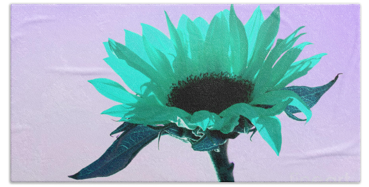 Floral Beach Towel featuring the photograph Turquoise Sunflower ART by Renee Spade Photography