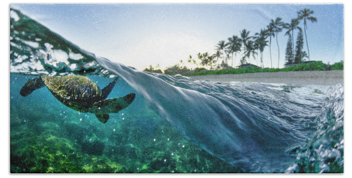 Sea Beach Towel featuring the photograph Turtle Split by Sean Davey