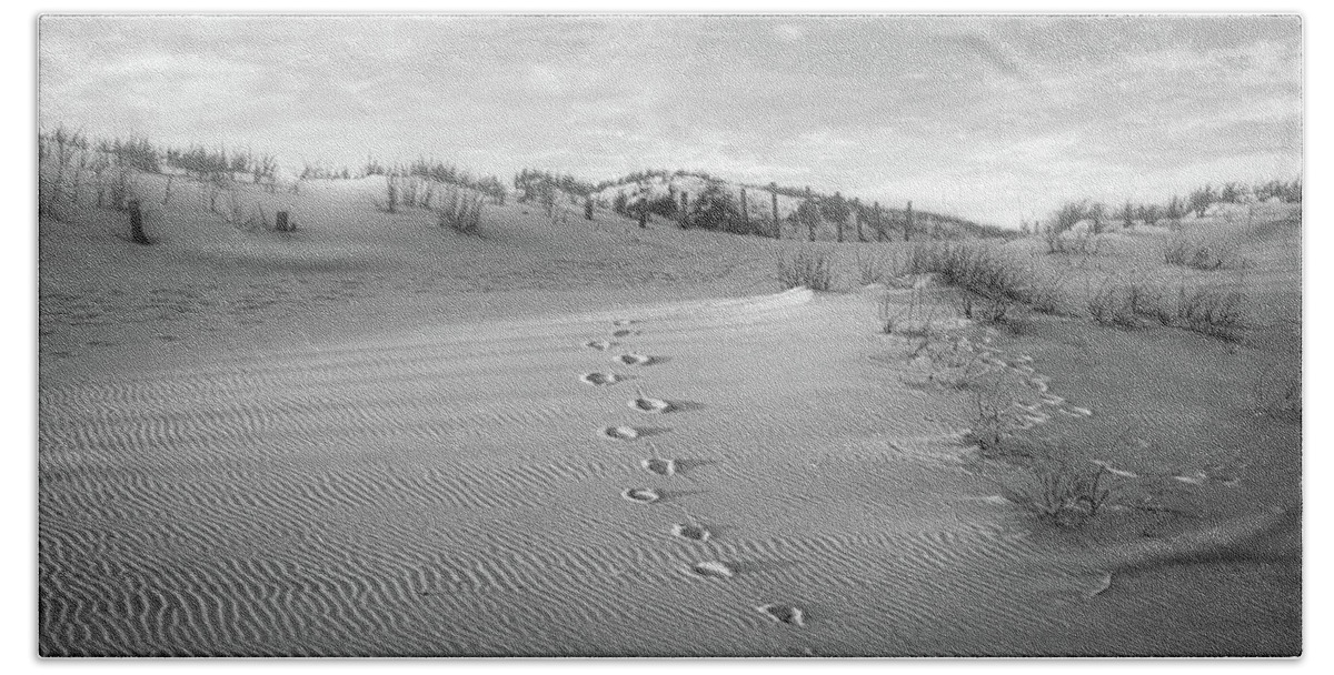 Turtle Tracks Black And White Beach Towel featuring the photograph Turtle Tracks Black And White by Dan Sproul