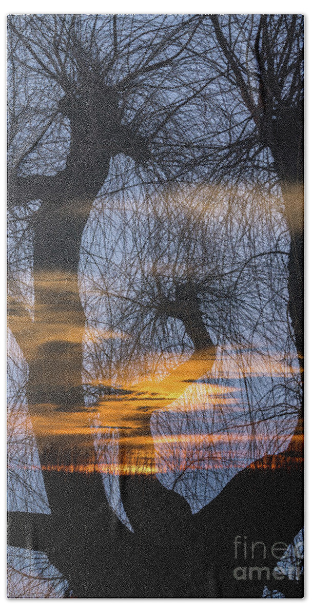 Netherlands Beach Towel featuring the photograph Twilight zone in the magic forest by Casper Cammeraat