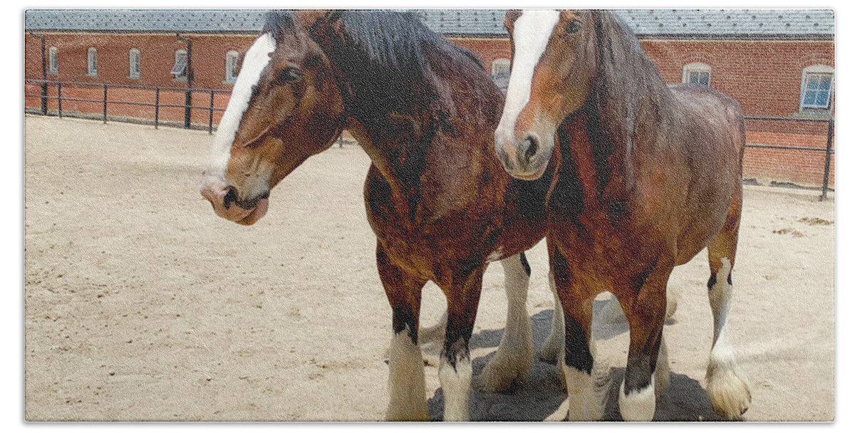 Horses Beach Towel featuring the photograph Two Clydesdales by Lora J Wilson