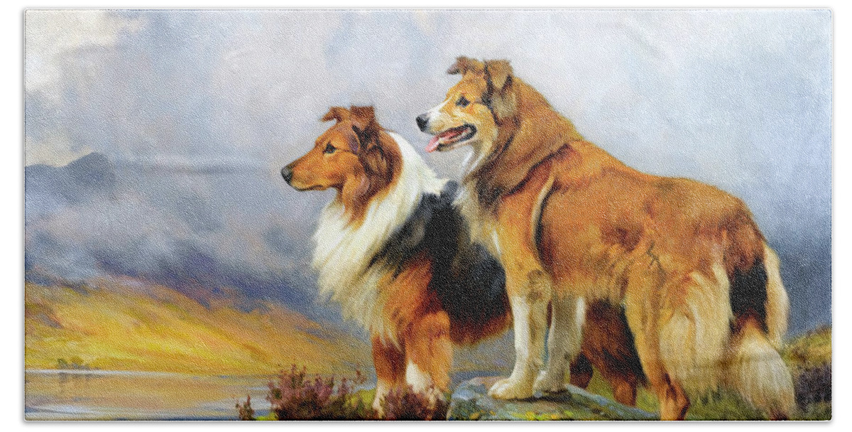 Two Collies Above A Lake Beach Towel featuring the photograph Two Collies Above A Lake by Wright Barker by Carlos Diaz
