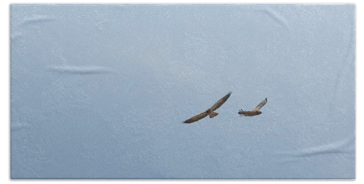 Hawks Beach Towel featuring the photograph Two Hawks in Flight by Amanda R Wright