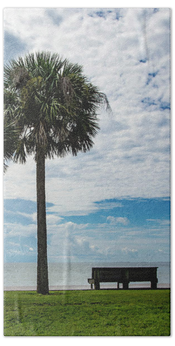 Two Beach Towel featuring the photograph Two Palms on Pensacola Bay by Beachtown Views