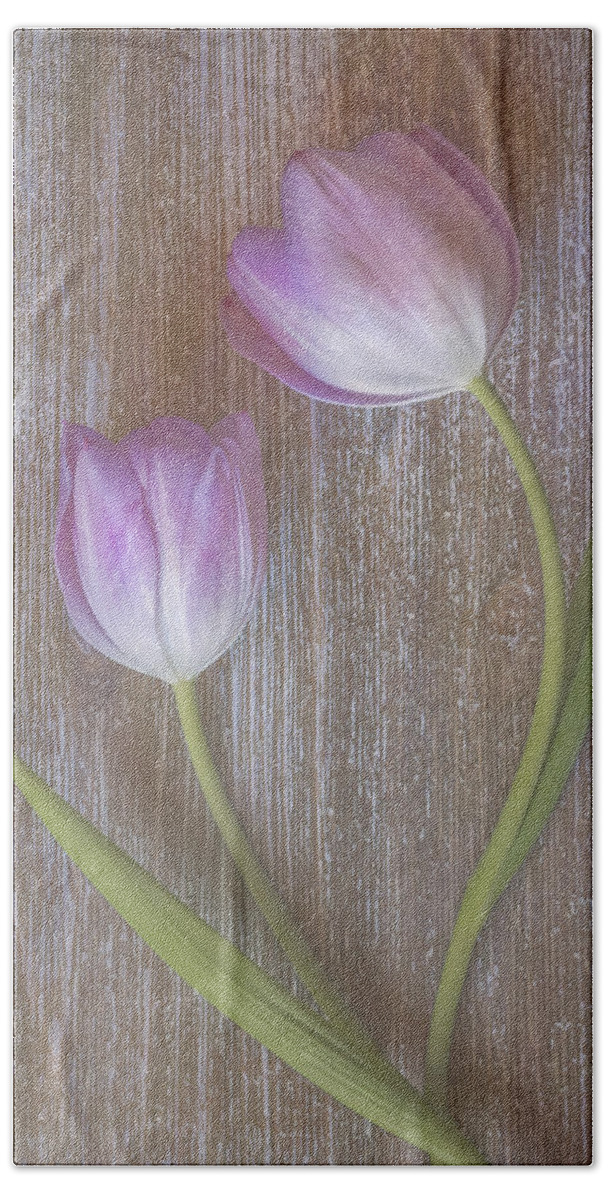Pink Tulips Beach Towel featuring the photograph Two pink tulips by Sylvia Goldkranz