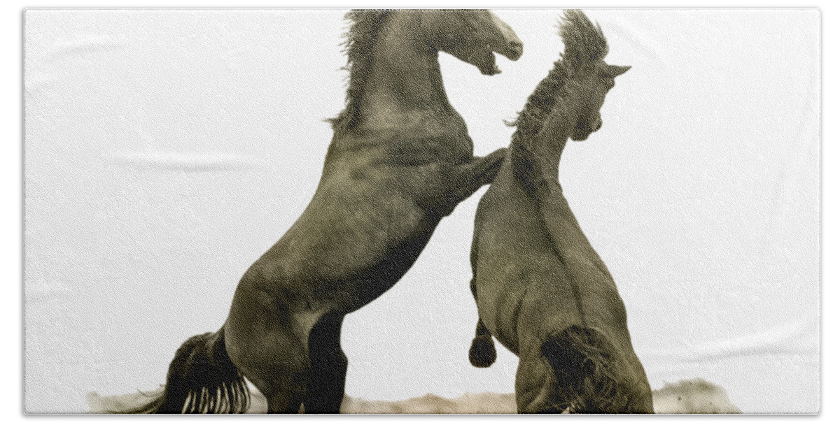 Two Beach Towel featuring the photograph Two stallions fighting  by Daniel Friend