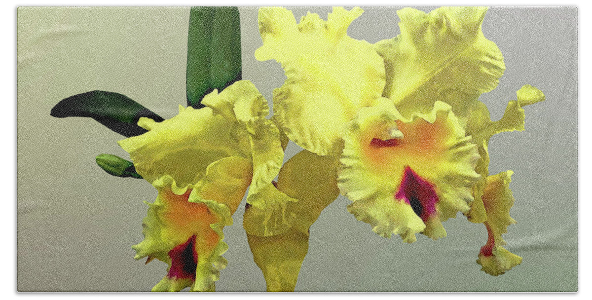Orchid Beach Towel featuring the photograph Two Yellow Cattleya Orchids by Susan Savad