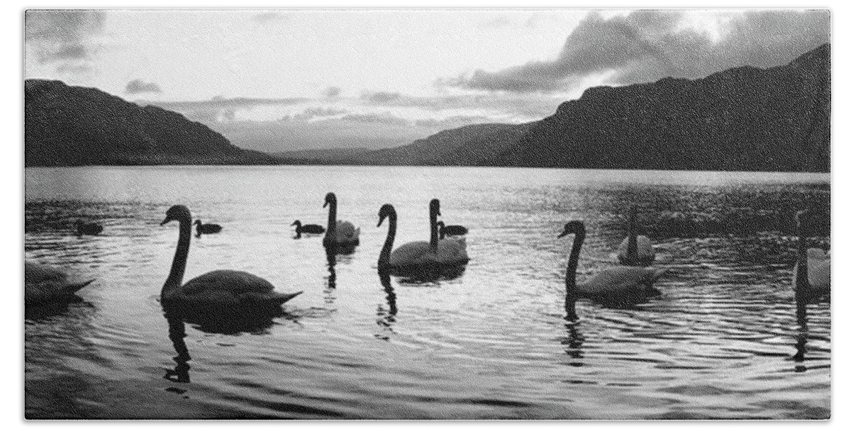 Panorama Beach Towel featuring the photograph Ullswater Swans Black and White Lake District by Sonny Ryse