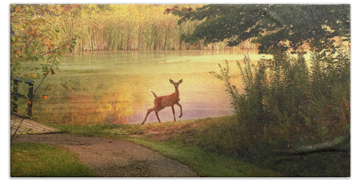 Deer Beach Towel featuring the photograph Unexpected Beauty by Rob Blair