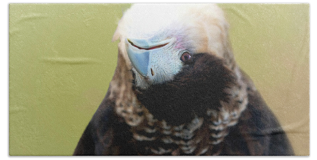 Crested Caracarra Beach Towel featuring the photograph Unique Perspectives by Art Cole